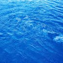 비바호텔&리조트 이미지