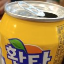 금오양꼬치 이미지