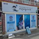 내뇌케어창원 | 창원프리다이빙 제대로 배우고 싶다면! 마린버블다이브! 부산프리다이빙강습 추천 후기