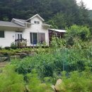 원두막민박 이미지