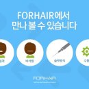 순헤어봄