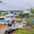 마명산(강하면) 네이버블로그