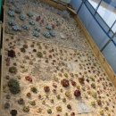 상미농장 이미지