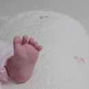 도담도담 | 부산 산후 도우미 업체 도담도담 이용후기(feat. 도우미 교체)