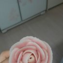 슈슈앙 이미지
