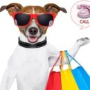 The 쇼독 이미지