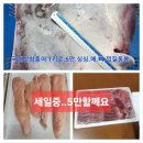 여름철 대표 보양식 민어로 기력 회복하세요!” 이미지