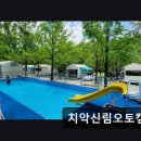 치악신림오토캠핑장 | ＊강원도추천캠핑장＊ 치악신림오토캠핑장 자연과 편안함이 어우러진 캠핑장