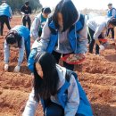 최성기농장 이미지