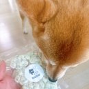 멍실멍실 이미지