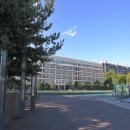 강남-163 이미지