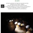한스농원