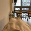 소영 | 화곡역 미용실 추천 레어룸헤어 소영원장님 | 수분 충전 클리닉 후기