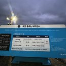 춤추는 사람 | 목포 야경 볼거리 평화광장 춤추는 바다 분수쇼 공연후기