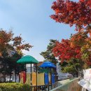 회화어린이공원 네이버블로그