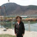 섬진강(부산) 이미지