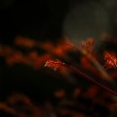 사주논리여행 필살기 연애운과 직장운 예측 후기
