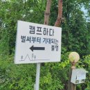 캠프하다 이미지