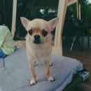 해지개캠핑장 이미지