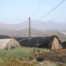 상서보건지소 | 운길산 (610m) - ( 2020.11.14 )