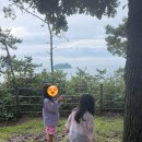 바닷길 | 진도쏠비치 2탄_포토존&amp; 산책로 / 신비한 바닷길 / 인피니티 풀, 사우나 후기