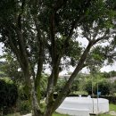 그날저지 이미지