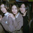 디토 이미지