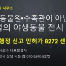 서초 중앙 행정사 사무소 이미지