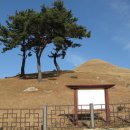 신기리 고분군 | 양산 북정리고분군(신기리고분군)