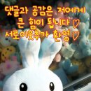 뉴욕버거(평택팽성점) 네이버블로그