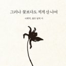 푸른밤 이미지