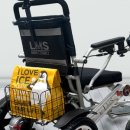 에레메스(LMS) 이미지