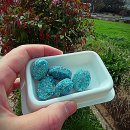 텃밭약국 | 약국 쥐약 보다 더 강력한 진짜 효과 대박! 시골집 쥐 퇴치 성공담