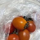 하림 약국 | [임당 식단 기록] 임신 27주차 혈당 수치 - 케이크, 과일(딸기, 사과, 천혜향, 토마토), 라라스윗 메론...