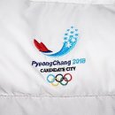 2018 평창올림픽 빈폴 패딩105, 줌브레이브5 흰검 270 이미지