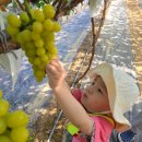 이레농장 이미지