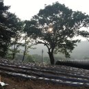 재형농장 이미지