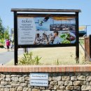 돌고래레스토랑 이미지