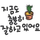 수연다육 이미지