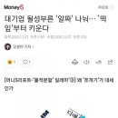 성디앤씨