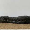 경호강수석 네이버블로그