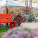 달그림고운 이미지