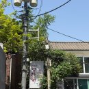 명륜동식당 | 대학로 한식, 고기전문점 <명륜동식당> 생삽겹살 쌈밥정식 후기,주차가능