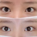 뷰티더영 - 성남시 수정구 | 위례 속눈썹펌 잘하는 곳 뷰티더영 프리미엄 속눈썹펌 후기