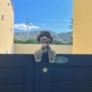 udogpia 유독피아 이미지