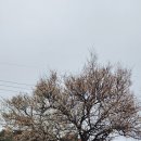 다사마을 앞 이미지