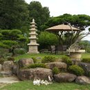 커피와소나무 이미지