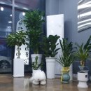 매직 펫 살롱 이미지