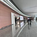 중국동방항공 후기 - 칭타오공항 환승_ 원장맥주?