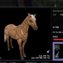 여행의 동반자 이미지